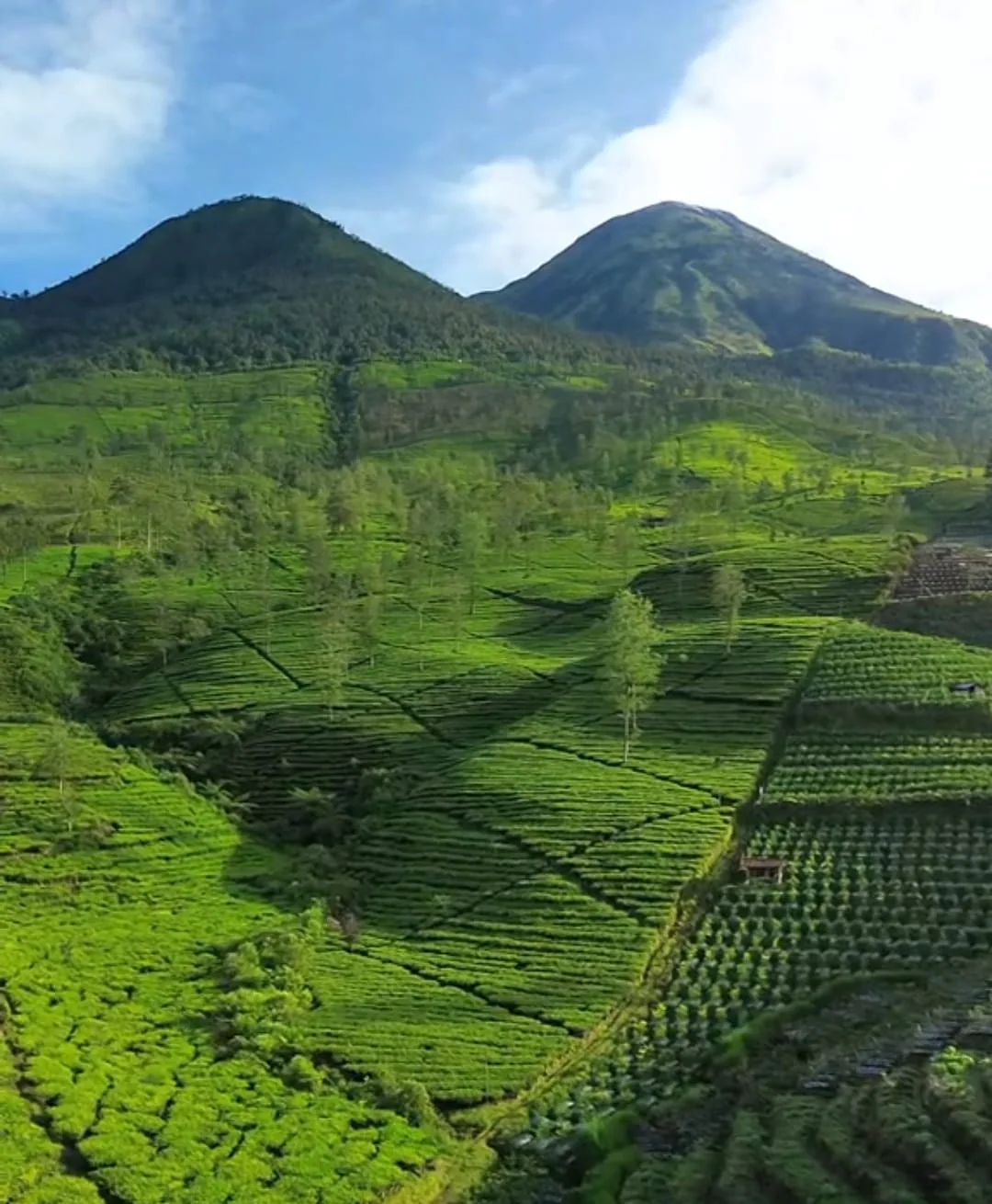 Foto asli lanskap pertanian dan lembah di sekitar lokasi Damar View